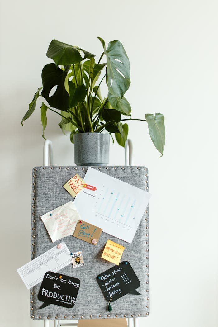 A well-organized productivity board with notes and a potted plant against a white wall.